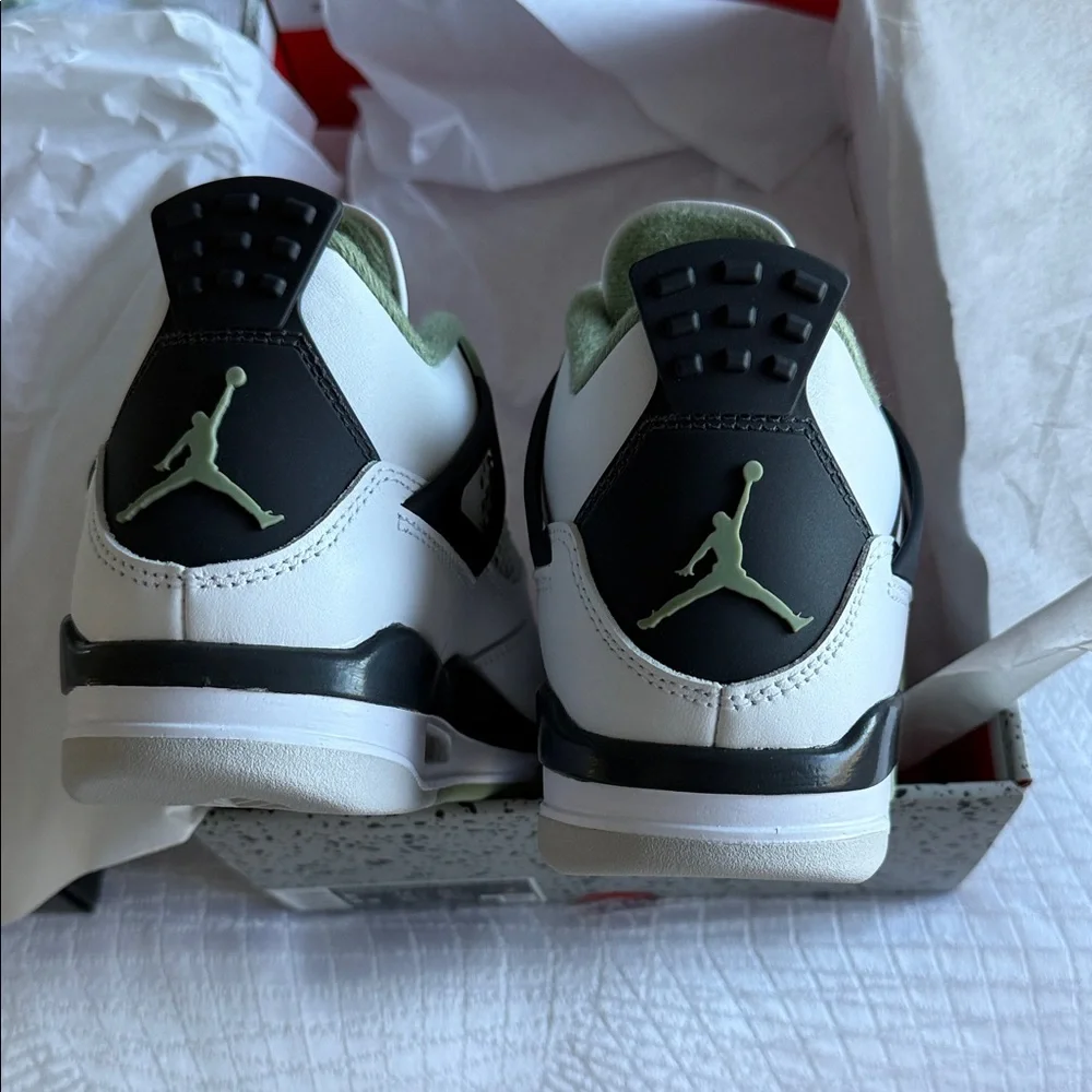 Nike Air Jordan 4 retro